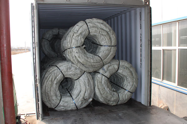 International Order Container Loading